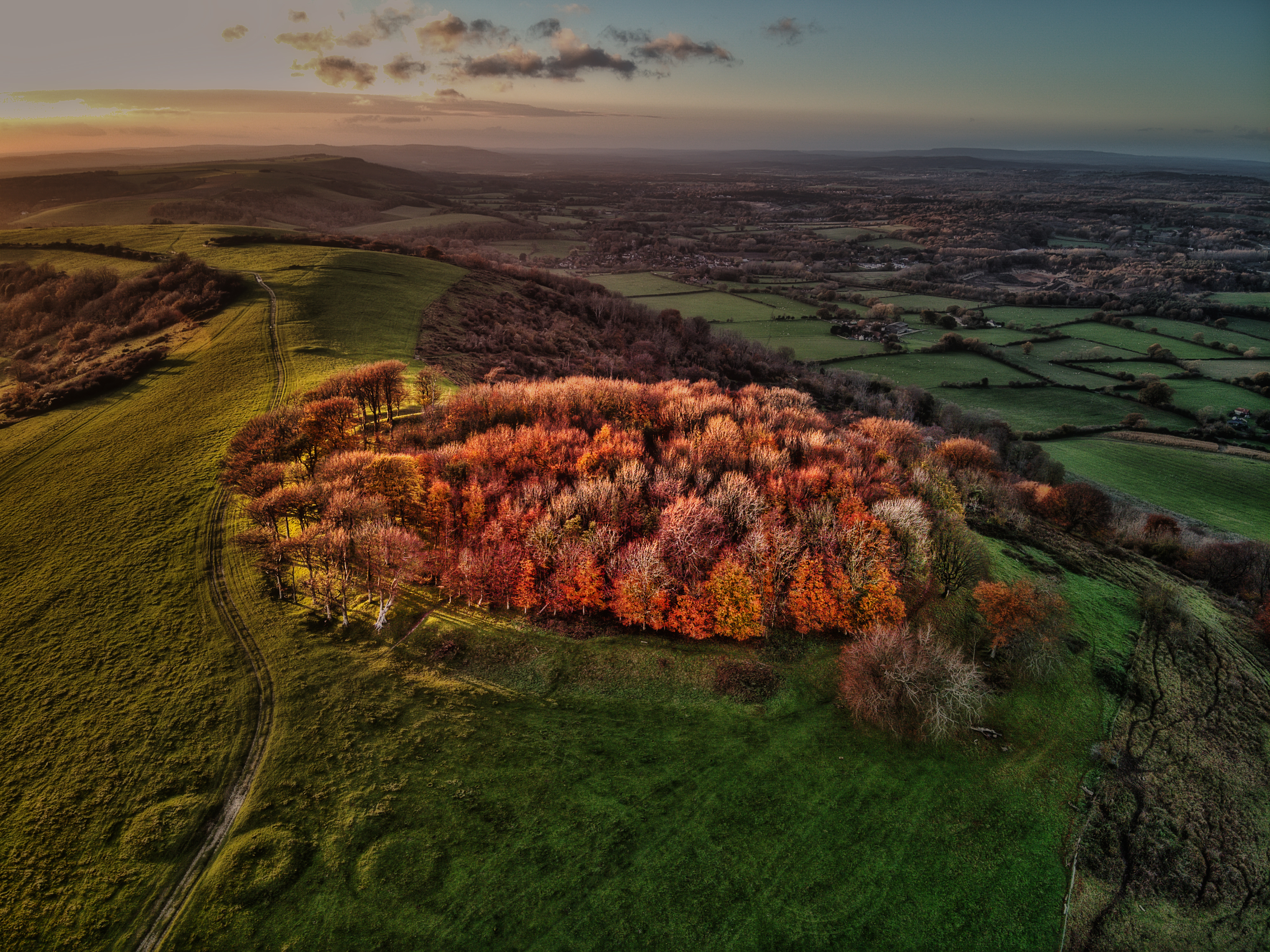 Aerial drone photograph of Chanctonbury Ring in 2013 with regrown canopy