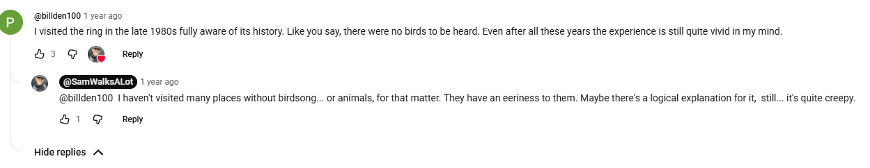 YouTube comment reporting no birds, with reply