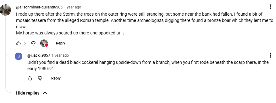 YouTube comment asking about a dead black cockerel found beneath the scarp in the early 1980s