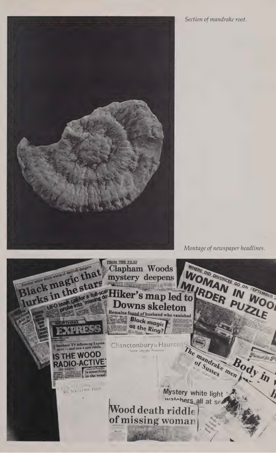 Montage of newspaper headlines about Chanctonbury Ring and Clapham Woods